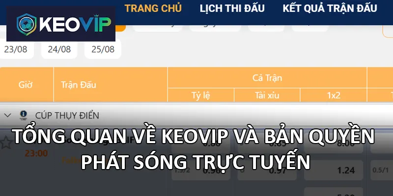 Hiểu rõ vai trò của bản quyền